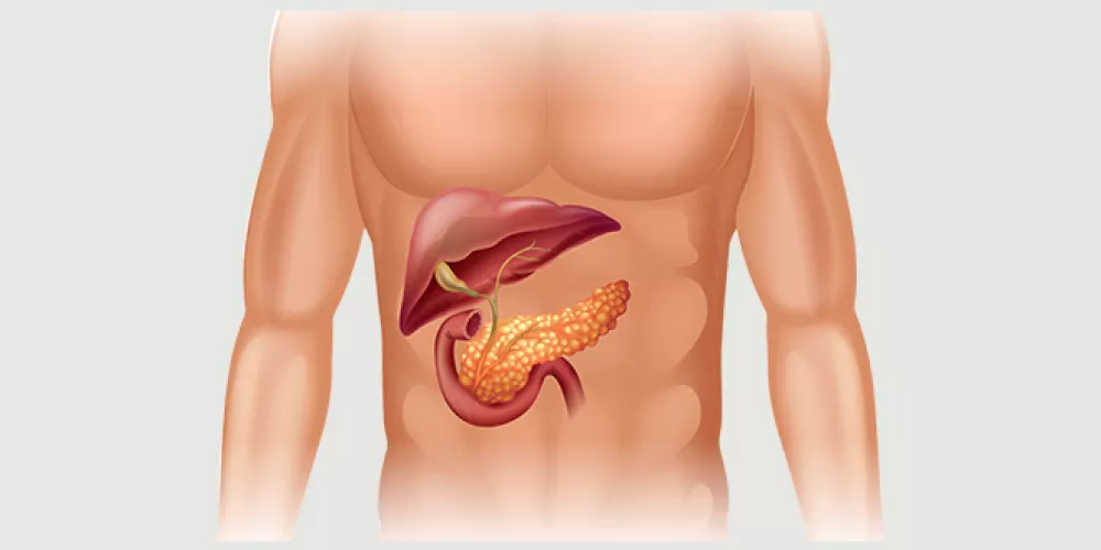 ما هو البنكرياس وكيف اعرف ان عندي مشكله في البنكرياس؟